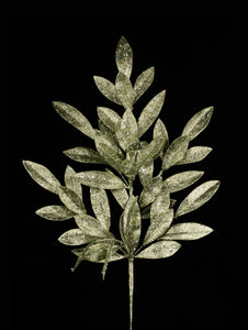23"L Glitter Bay Leaf Spray, Dark Sage Green  WFP1